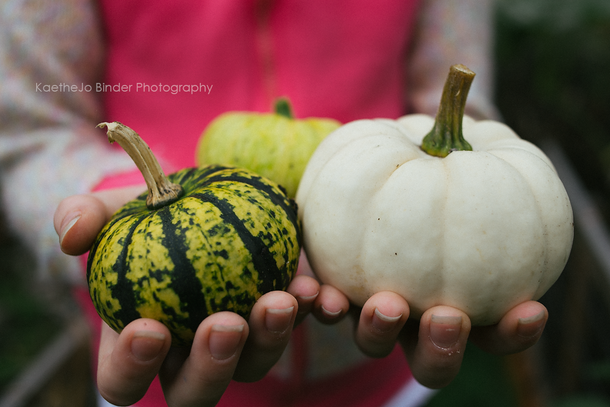 Tacoma Family Photographer